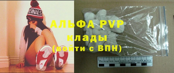 PSILOCYBIN Козельск