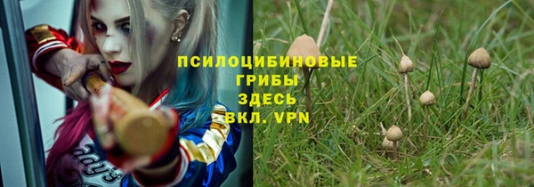 индика Карпинск